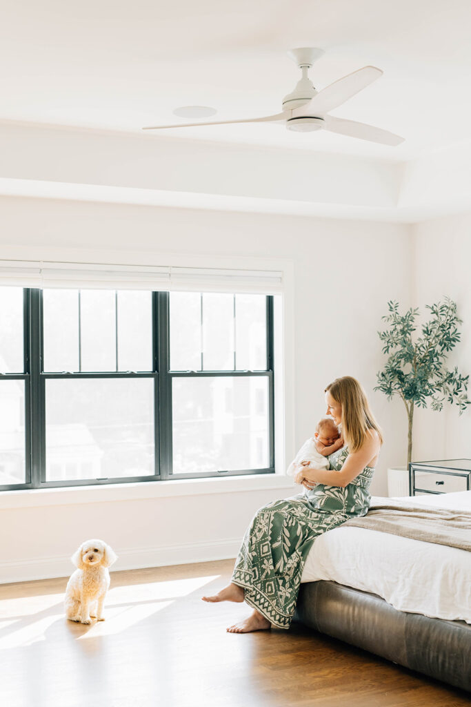 MN Newborn Photographer, MN Newborn Photoshoot, MN Newborn Photos, MN Newborn Photography